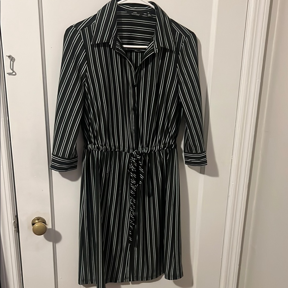 Striped Black and White (green accents) Shirt Dress